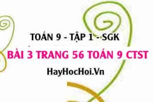 Bài 3 trang 56 Toán 9 tập 1 Chân trời sáng tạo